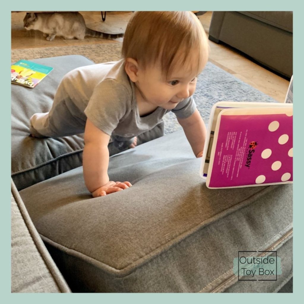 Baby climbing couch cushion looking at photo album