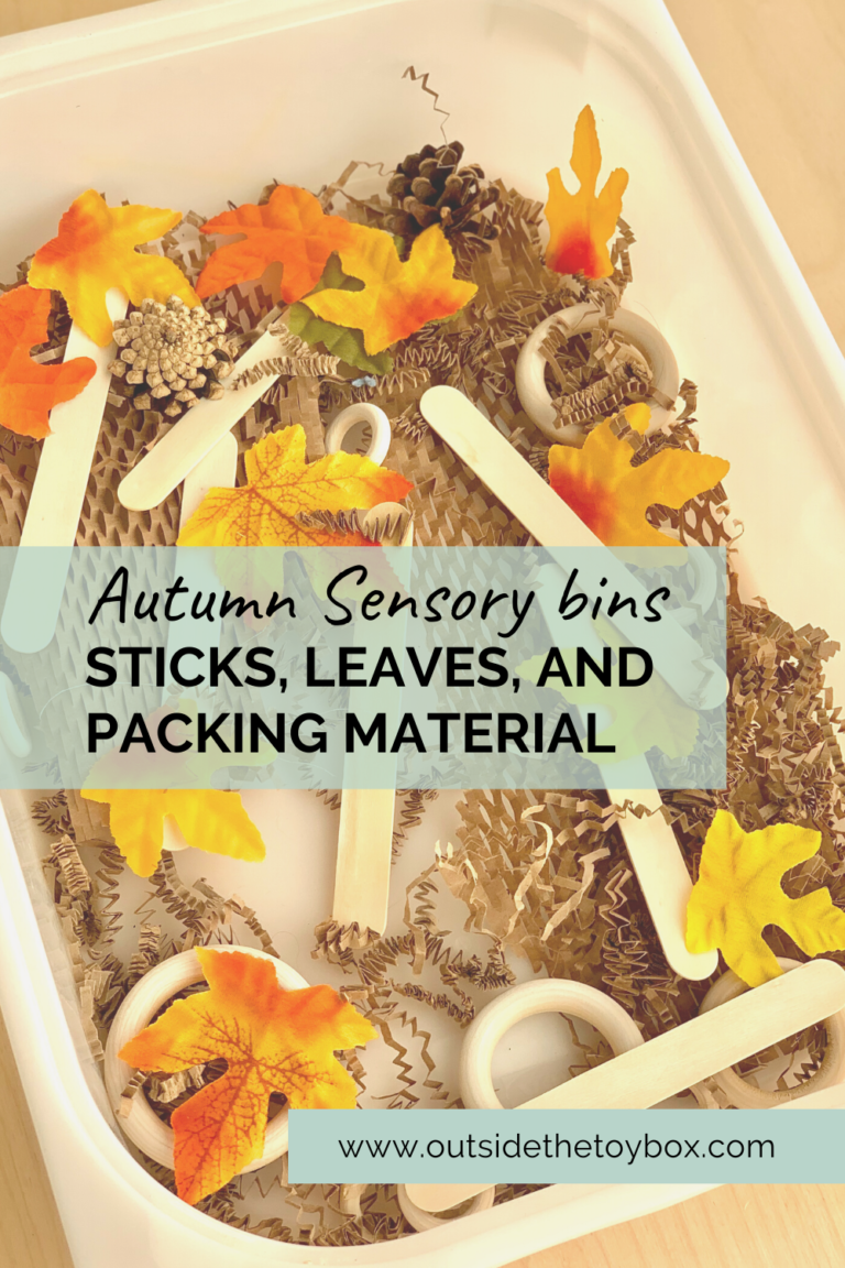 Leaves sticks and pinecones in packing material