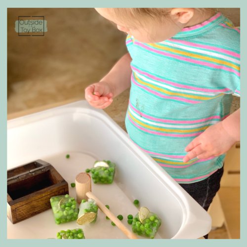 toddler holding pea above gold coins frozen with peas in cubes