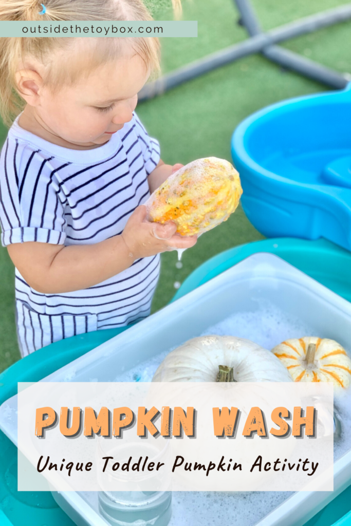 Toddler washing pumpkins