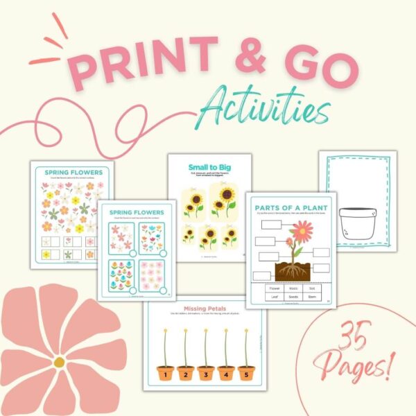 Tiny Blooms Play & Learn Pack - Image 3